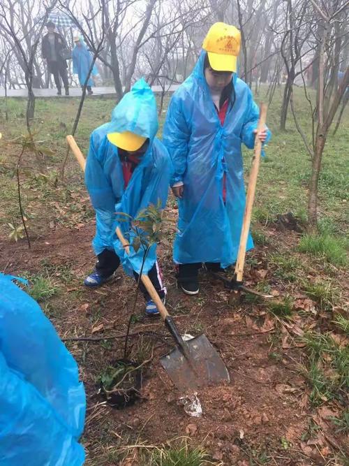 绿色我先行  种植希望树    观海卫中心小学三(5)班