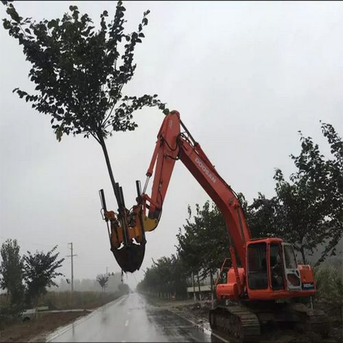 移树机 移苗机 挖树机 挖苗机 树木移栽机 挖根机厂家直销